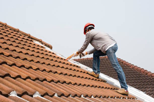 Best Storm Damage Roof Repair  in Vista, CA