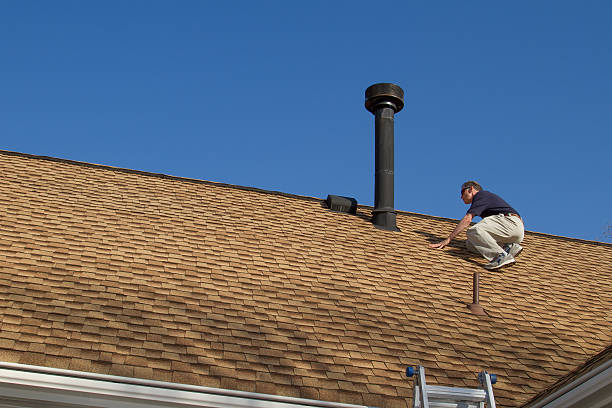 Best Roof Moss and Algae Removal  in Vista, CA